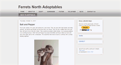 Desktop Screenshot of adopt.ferretsnorth.org